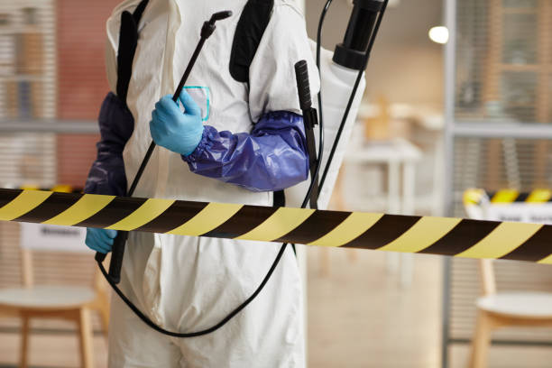 Professional Blood Cleanup technician working in Sebago, ME